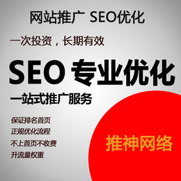 推神網(wǎng)絡(luò) 微信引流推廣 廣州深圳全網(wǎng)霸屏推廣 網(wǎng)站建設(shè)