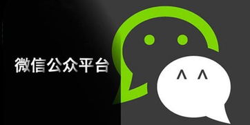 微信公眾平臺 原創(chuàng)聲明 功能開放公測