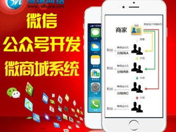 圖 深圳專業(yè)定制小程序 網(wǎng)站 推廣 深圳網(wǎng)站建設(shè)推廣