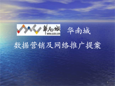 數(shù)據(jù)營(yíng)銷(xiāo)及網(wǎng)絡(luò)推廣提案.ppt